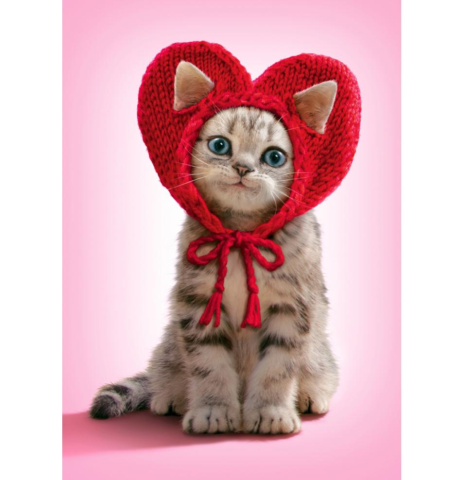 Dubulta kartīte, apdruka iekšpusē