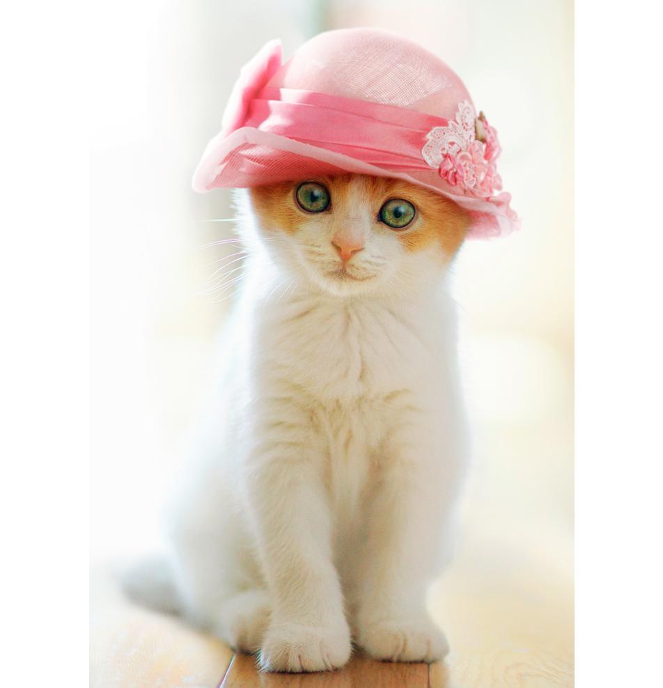 Dubulta kartīte, apdruka iekšpusē