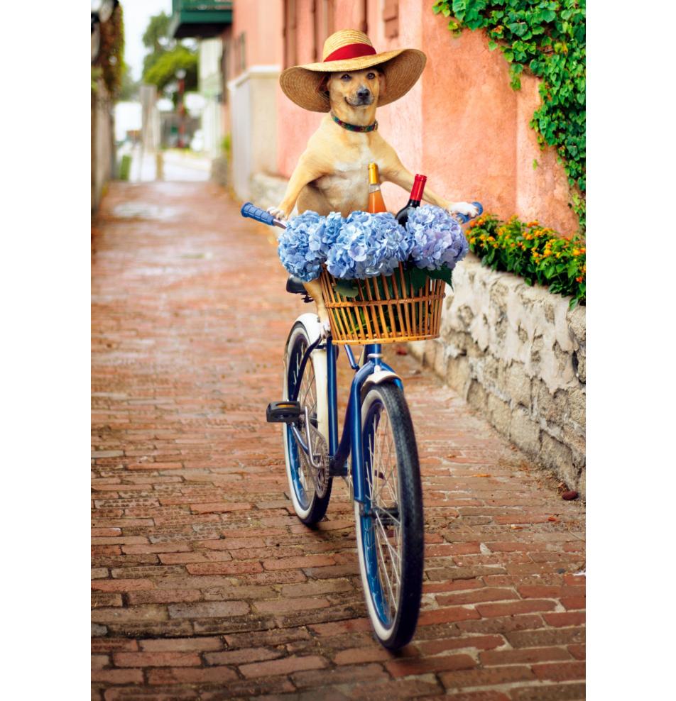 Dubulta kartīte, apdruka iekšpusē