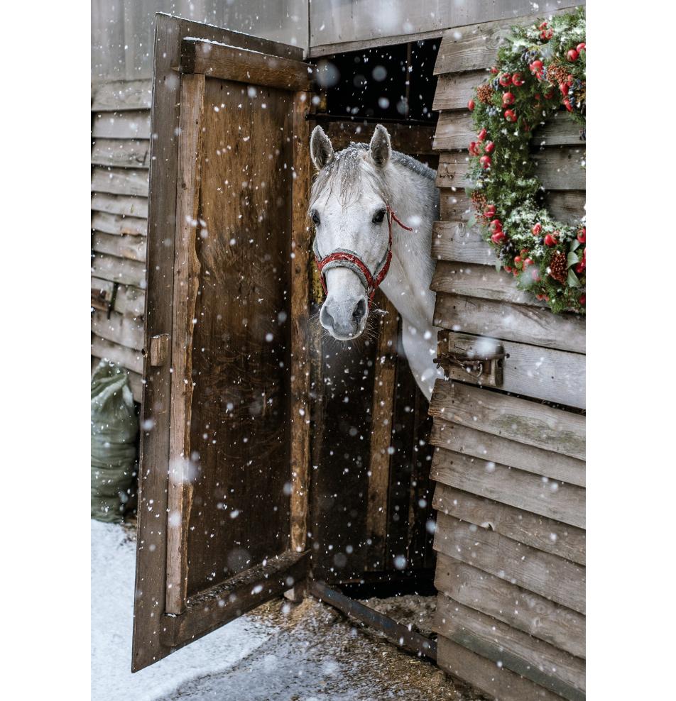 Dubulta kartīte, apdruka iekšpusē