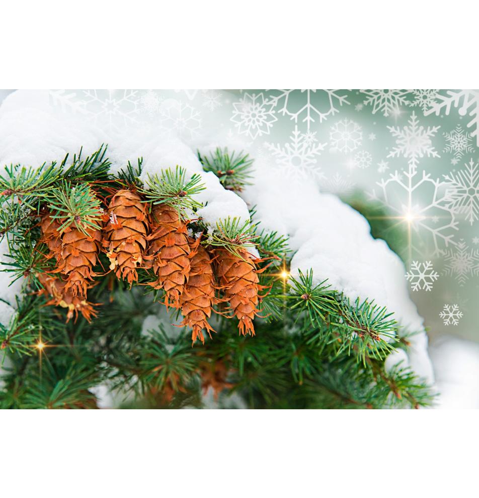 Dubulta kartīte, ar aploksni, sadarbībā ar Servisa suņu biedrību Teodors