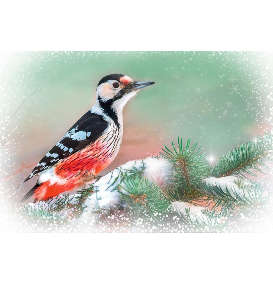 Dubulta kartīte, ar aploksni, sadarbībā ar Servisa suņu biedrību Teodors