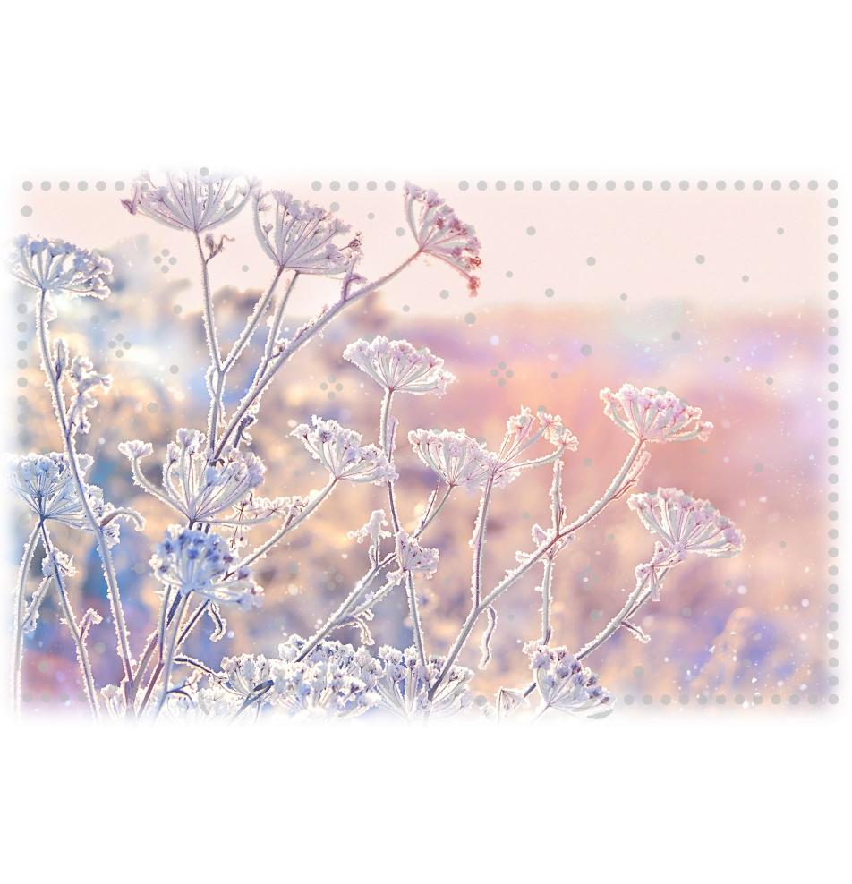 Standard double card, print inside