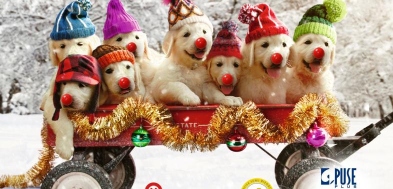 Laiks, kas paiet. Gaisma, kas paliek.