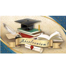 Money envelope card 23214