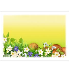 Printed envelopes A0006-213