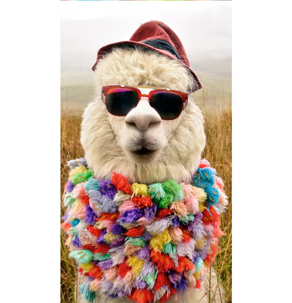 Kartīte, naudas aploksne