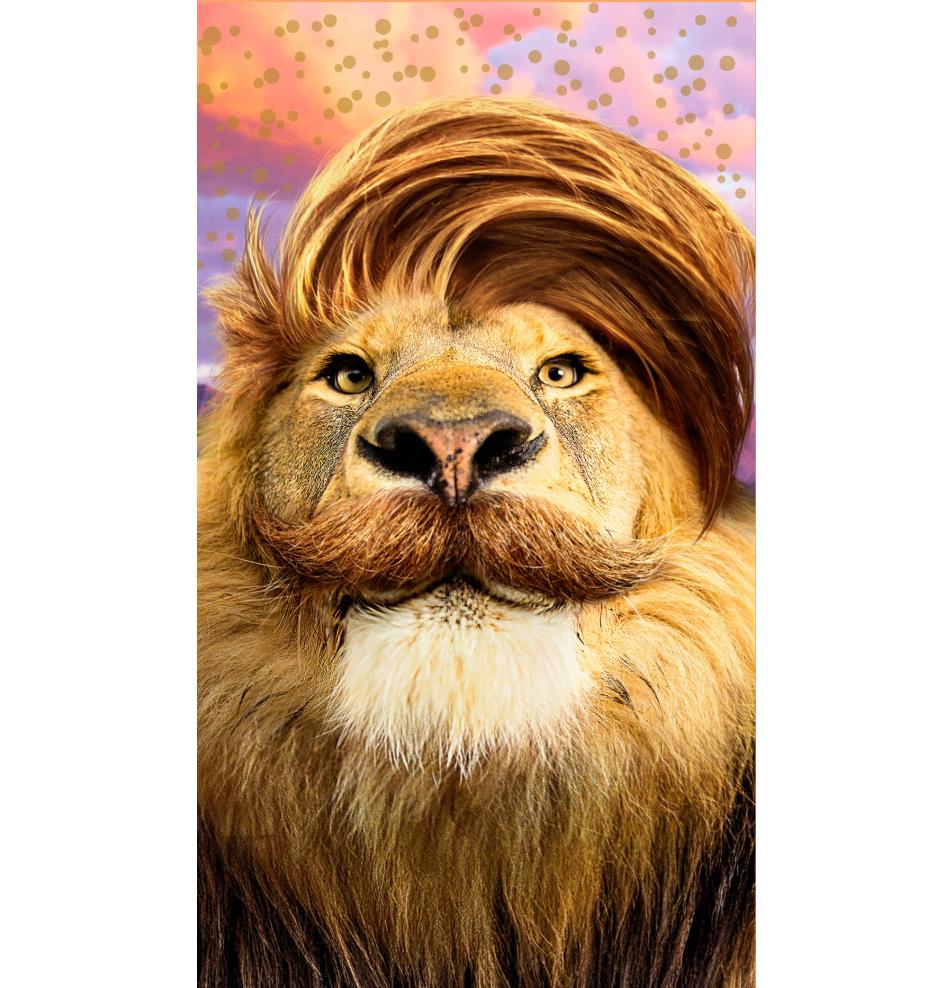 Kartīte, naudas aploksne