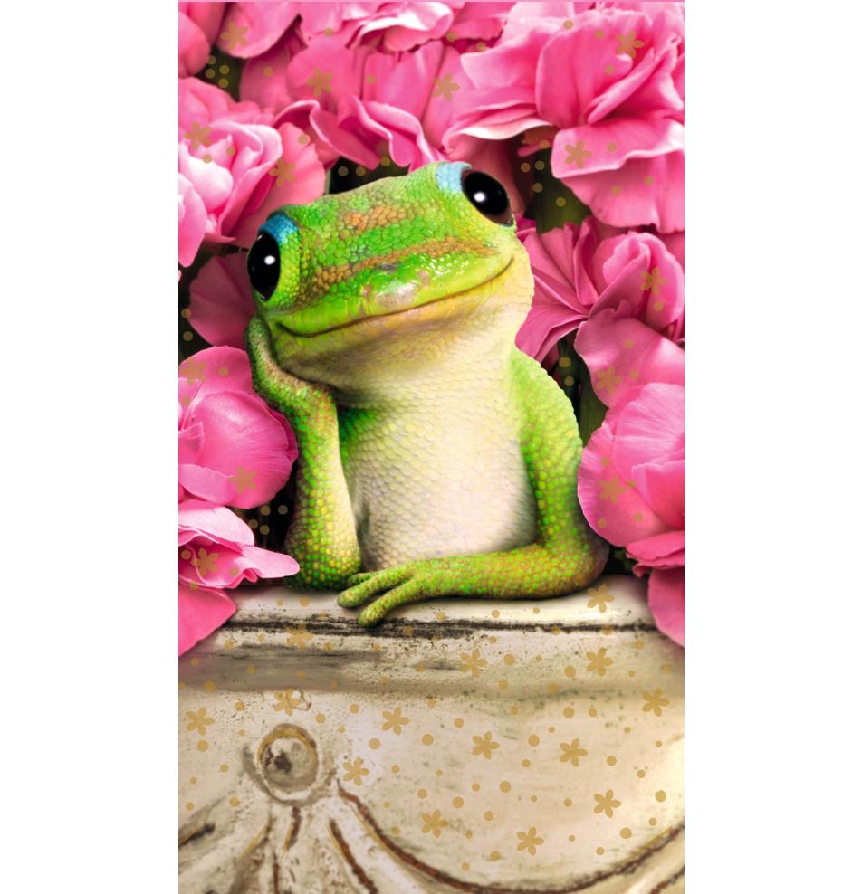 Kartīte, naudas aploksne