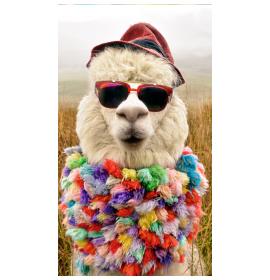 Money envelope card 26351