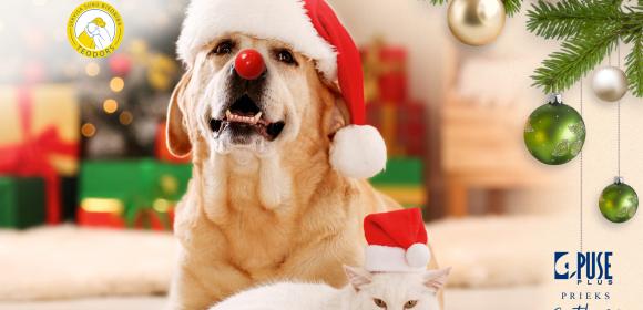 Lai mierpilns un svētīts šis Ziemassvētku gaidīšanas laiks!