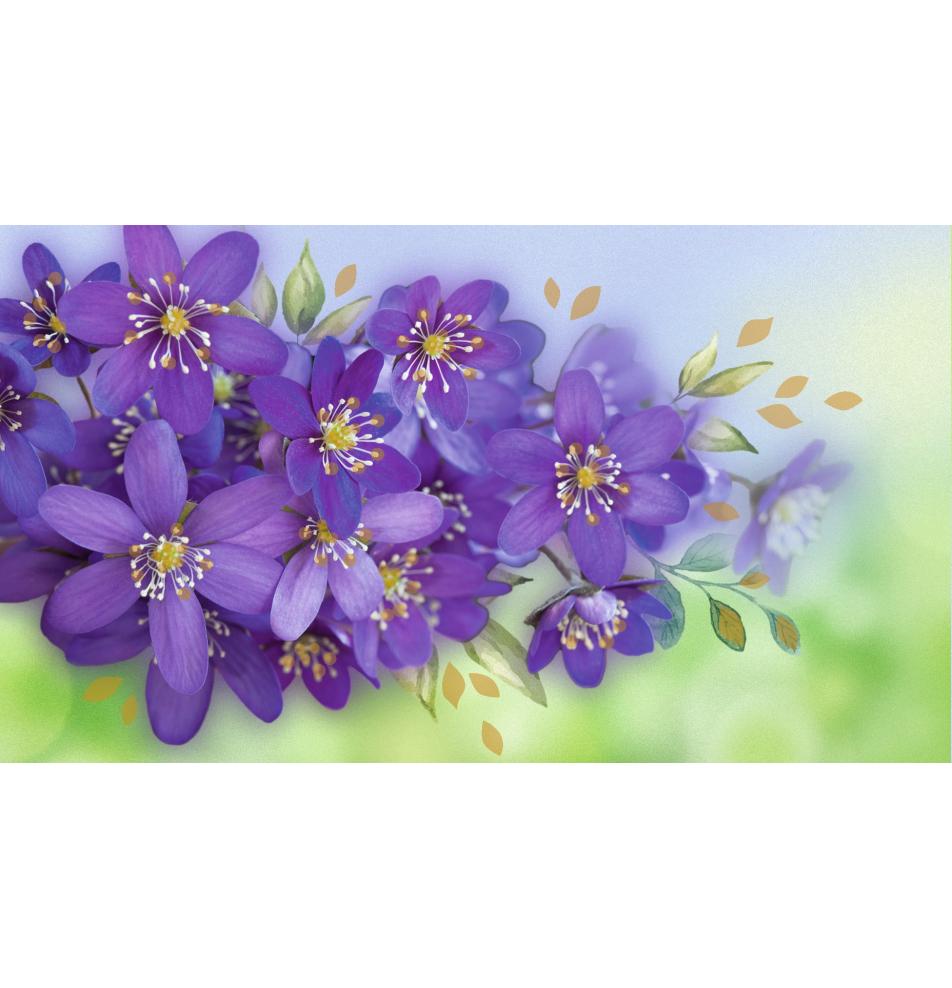 Kartīte, naudas aploksne