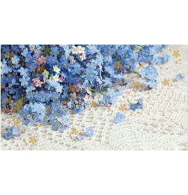 Money envelope card 23547-0