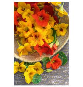 Standard double card, print inside 26860