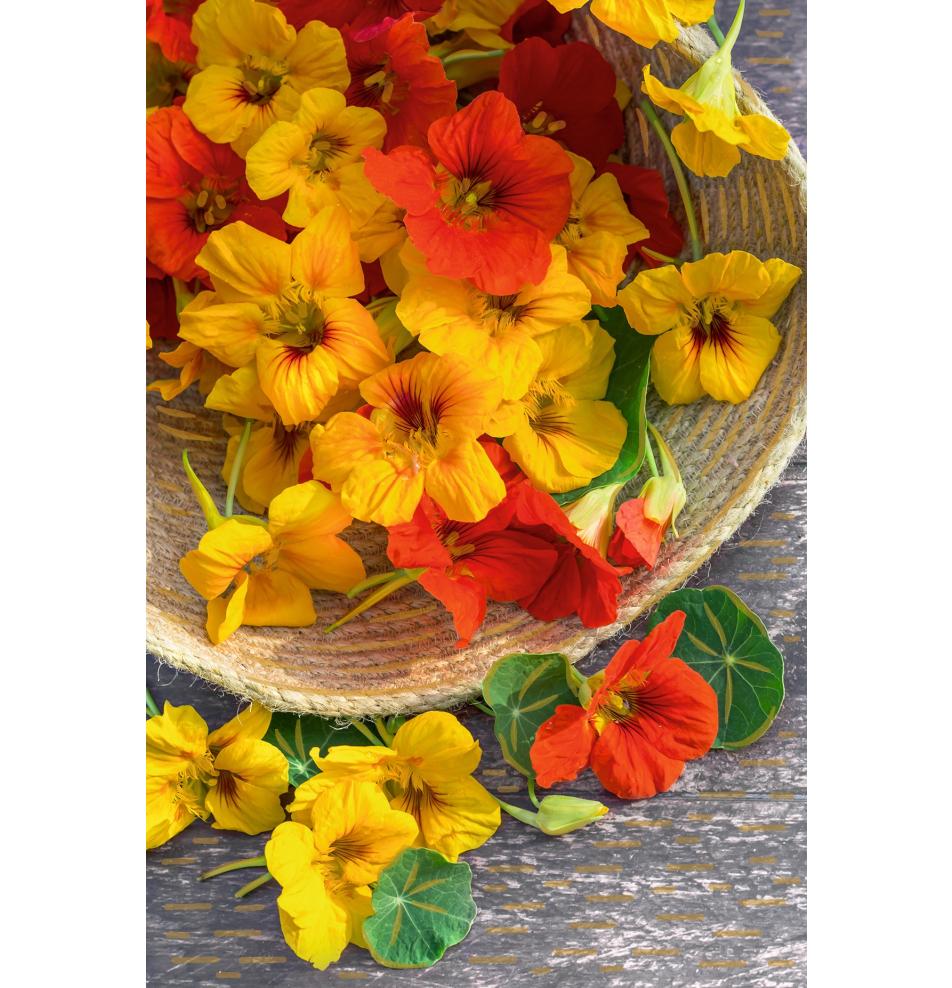 Standard double card, print inside