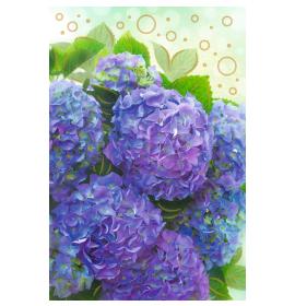 Standarta dubulta kartīte, apdruka iekšpusē 26858