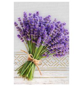 Standarta dubulta kartīte, apdruka iekšpusē 26859