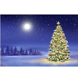 Standard double card, print inside 24529