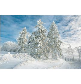 Standarta dubulta kartīte, apdruka iekšpusē 24526