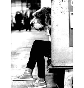 Black&white, double card BW0080