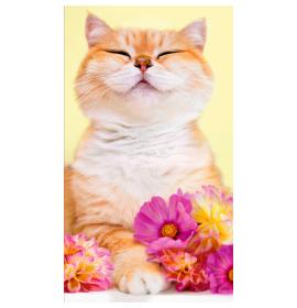 Money envelope card 23105-0
